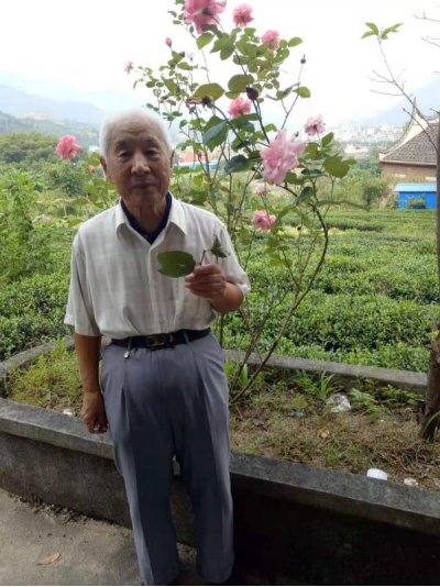 微信图片_20200415153602.png